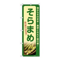 �̂ڂ�r�m�a�|�V�R�V�P����܂�