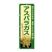 �̂ڂ�r�m�a�|�V�R�X�X�A�X�p���K�X