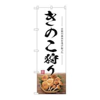 �̂ڂ�r�m�a�|�V�S�W�S���̂����