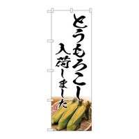 ̂ڂrma|VTQTƂ낱