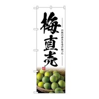 �̂ڂ�r�m�a�|�V�W�V�O�~����