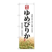 �̂ڂ�r�m�a�|�W�Q�R�T�V�Ă�߂҂肩