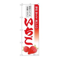 ̂ڂrma|WSQQ