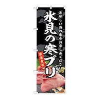 �̂ڂ�r�m�a�|�W�V�W�V�X���̊��u��