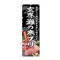 �̂ڂ�r�m�a�|�W�V�W�X���E��̊��u��