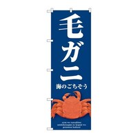 �̂ڂ�r�m�a�|�X�O�U�S�уK�j��