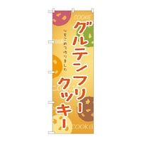 �̂ڂ�r�m�a�|�X�P�O�P�O���e���t���[�N�b�L�[