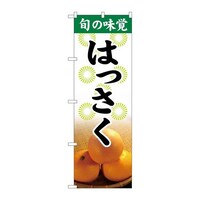 �̂ڂ�r�m�a�|�X�V�O�P�{�̖��o�͂�����