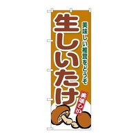 �̂ڂ�r�m�a�|�X�V�V�U����������