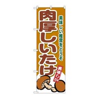 �̂ڂ�r�m�a�|�X�V�V�W������������