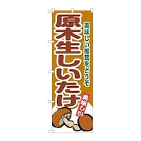 �̂ڂ�r�m�a�|�X�V�V�X���ؐ���������