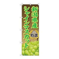 �̂ڂ�r�m�a�|�X�W�P�T�V�����Y�V���C���}�X�J�b�g