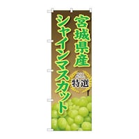 ̂ڂrma|XWPW{錧YVC}XJbg