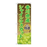 �̂ڂ�r�m�a�|�X�W�P�X���쌧�Y�V���C���}�X�J�b�g