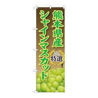 �̂ڂ�r�m�a�|�X�W�Q�R�F�{���Y�V���C���}�X�J�b�g