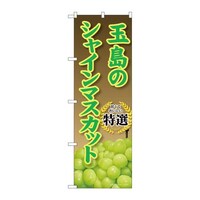 �̂ڂ�r�m�a�|�X�W�X�O�ʓ��̃V���C���}�X�J�b�g