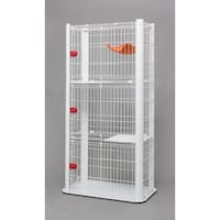 �J���[�X�����P�[�W�@�X�O�R�@�z���C�g�@�o�|�b�r�b�|�X�O�R�|�v�@�T�[�N���E�P�[�W�E�y�b�g�n�E�X�@�P��