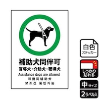 �X�e�b�J�[�@�j�e�j�R�O�T�T�@�⏕�������@�Q�����@�j�`�k�a�`�r