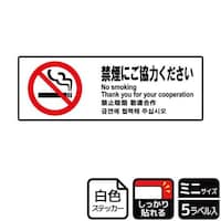 XebJ[@jejWOPV@։ɂ́@T@j`ka`r