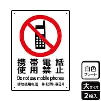 �v���[�g�@�j�s�j�P�O�P�P�@�g�юg�p�֎~�@�Q�����@�j�`�k�a�`�r