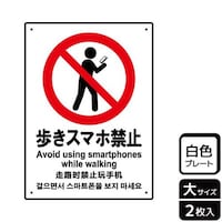 �v���[�g�@�j�s�j�P�O�V�Q�@�����X�}�z�֎~�@�Q�����@�j�`�k�a�`�r