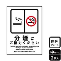 jsjROQRɂ