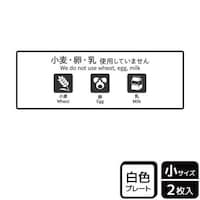 �v���[�g�@�j�s�j�U�O�T�T�@�����E���E���s�g�p�@�Q�����@�j�`�k�a�`�r