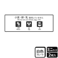 �v���[�g�@�j�s�j�W�O�T�V�@�����E���E���s�g�p�@�Q�����@�j�`�k�a�`�r