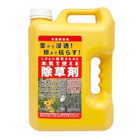 �����܃N�T�X�g�b�p�[�@�S�k