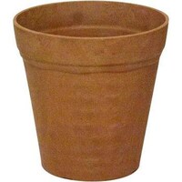 �N���C�|�b�g