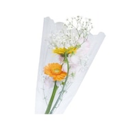 �t�����[�L���b�v