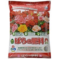 ΂̔엿