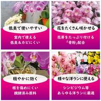 @m̔엿@TOO