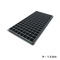 �v���O�g���C