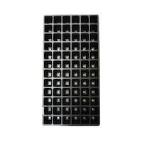 �v���O�g���C