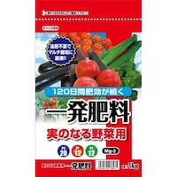 ꔭ엿@ʍؗސp@P
