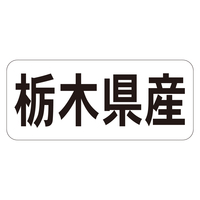 Nx@V[@Ȗ،YR@RZbg