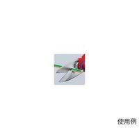PUO@͂݁EdHpiXeX