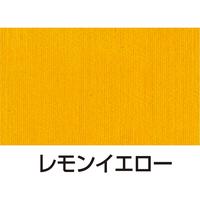 VNXN[pCLPOOCG
