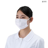 快適ガード マスク ふつう 60枚入 58135−0
