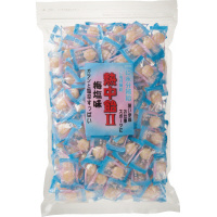 賞味期限2023/6/28保証 熱中飴梅塩味