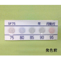 T[sbgTeistET\j