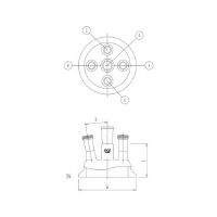 RXUQ|WT|T|Sk|RlOl|X