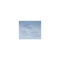 rgXO[QO@ŋۃV[[^TOO