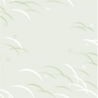 @Âё@˔@TO