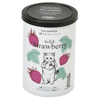 ��Ă�t���[�o�[�@�X�g���x���[�@�f�c�|�X�O�T�O�R