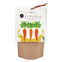 ��Ă�X�[�v�@�~�j�L�����b�g�@�f�c�|�V�X�T�O�Q