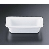 ���C�t�F�A�@�K�X�g���m�[���f�B�b�V���P�^�S�@�P�O�O