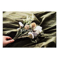 MtgtHg|XgJ[hRtH[[@TO~R