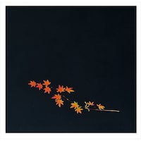 NAlG@Ԃ݂iQOOjnr|PQ|X